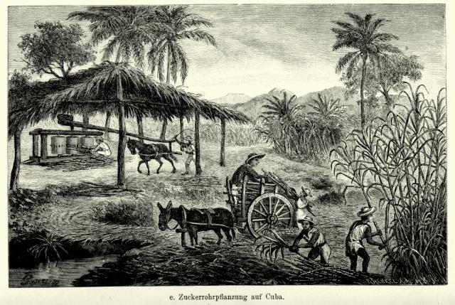 Historisk sockerplantage
