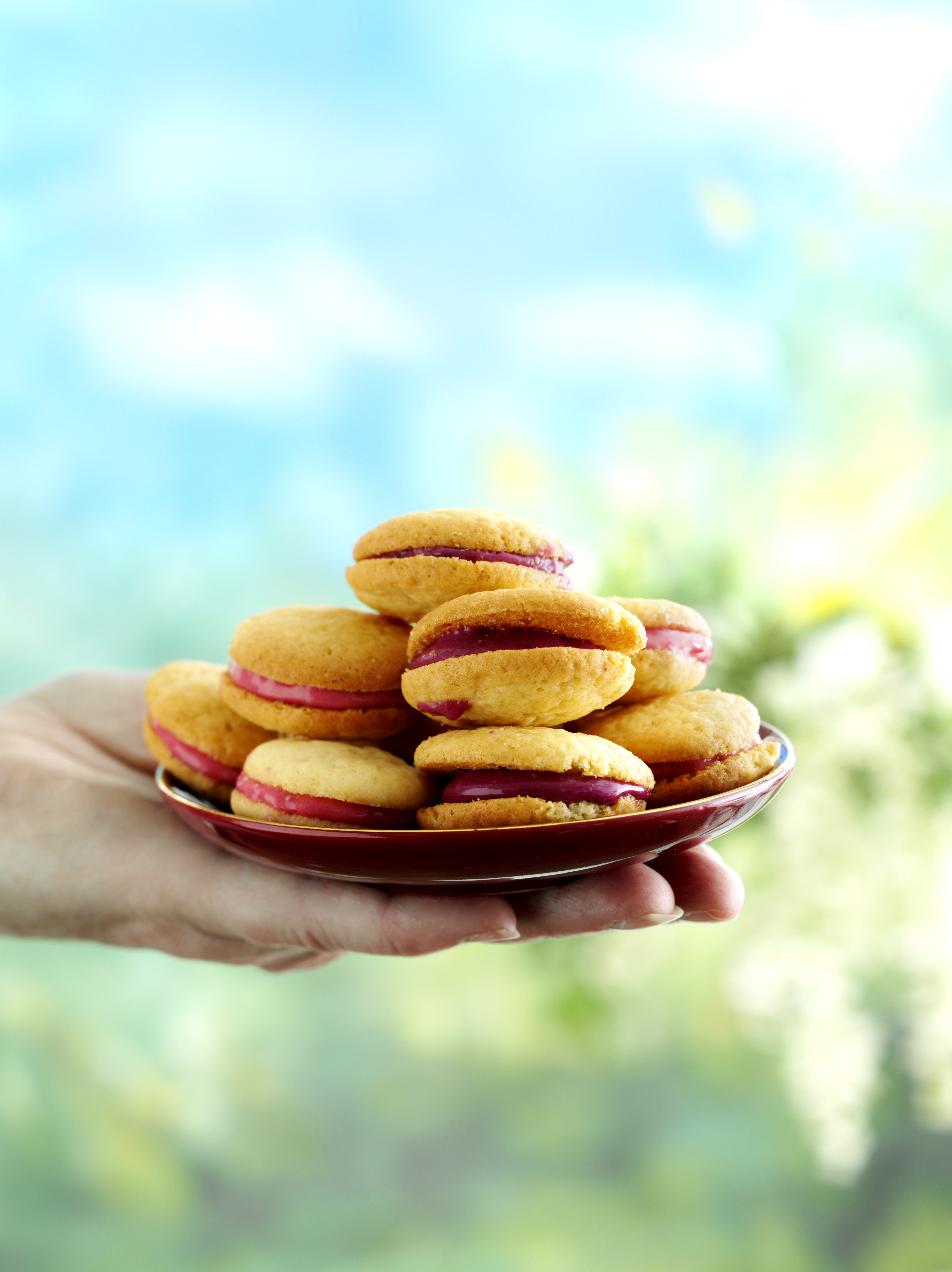 Sommarwhoopies
